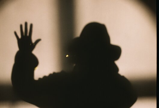 Shadow Behind the Glass