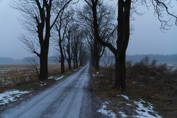 somewhere in poland, leśna droga © rob