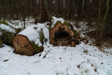 Zawadzkie , Mała Panew © rob