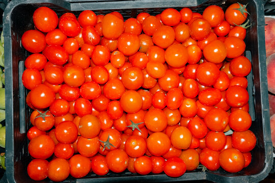 Crate of Fresh Cherry Tomatoes