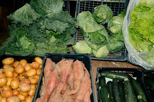 Fresh Assorted Vegetables at Market Stand