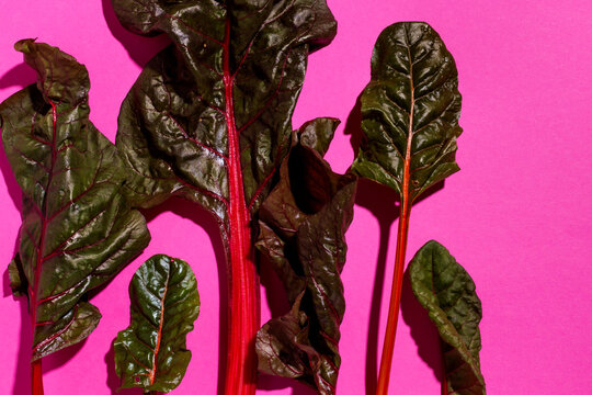 Swiss chard on a bright pink surface