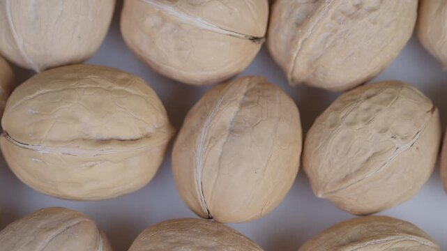 Detailed image showcasing walnut shell intricate patterns. Macro photograph capturing detailed patterns and rough surfaces of walnut shells for promotional purposes