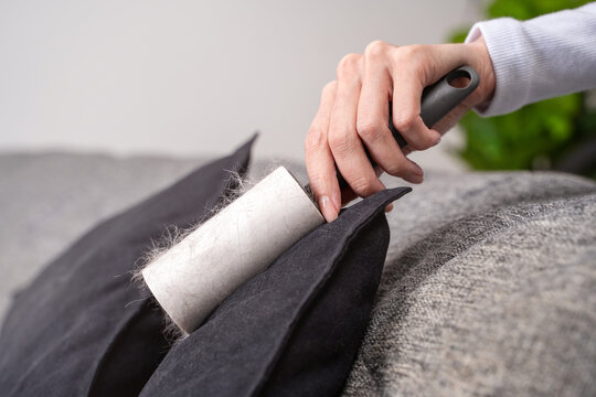Close-up female hand using adhesive lint roller on black cushion, gray sofa removing pet hair. Concept of textile hygiene and maintaining clean living space through regular household cleaning routine