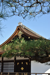世界遺産　東寺　側面から見た御影堂(京都市南区)