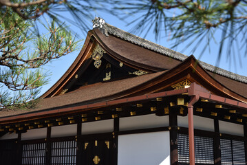 世界遺産　東寺　側面から見た御影堂(京都市南区)