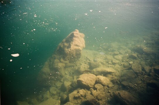Rocks and Plants Under Clear Water in a River