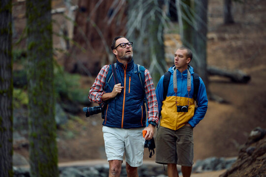Tourists on a hike in Sequoia National Park