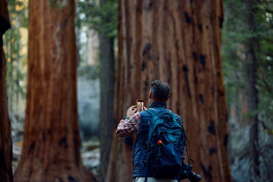 Man takes images in Sequoia National Park