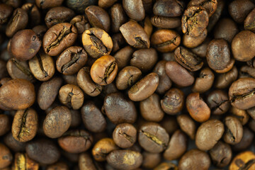Fototapeta premium coffee beans background texture brown roasted surface top view detailed natural pattern full frame warm tone studio lighting concept of food industry coffee production marketing advertising