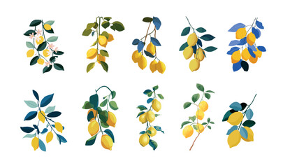 Fototapeta premium Lemon branch leaves flat vector concept. Citrus blossom harvest agriculture nature sticks growing fresh fruit vitamins organic farm product food plants in garden isolated on white background