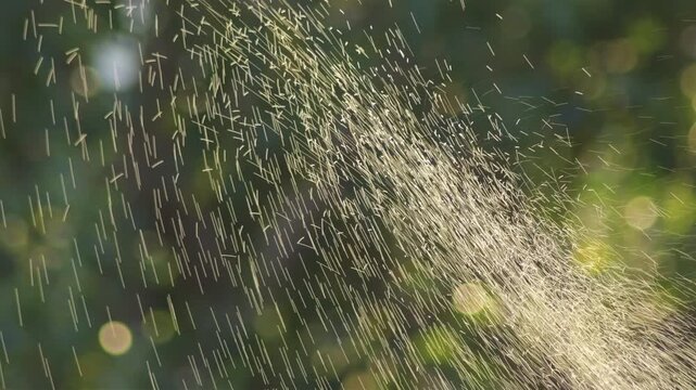 Drops in a drip irrigation moving at sunset