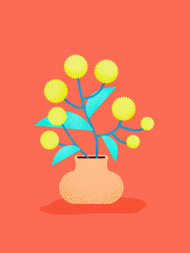 Mimosa flowers in vase on warm background