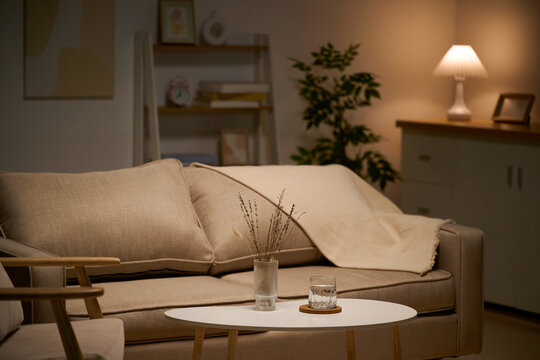 Cozy living room interior with sofa, lamp, and decorative elements