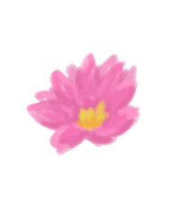 pink flower head; pastel drawn design element on transparent background