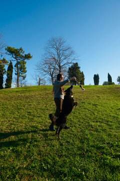 Dog and owner at the park