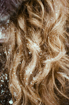 Close-up of snowy hair strands in winter