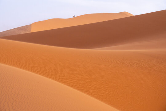 Two Figures on Desert Dune