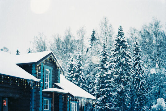 Cozy Wooden Cabin in Snowy Winter Forest