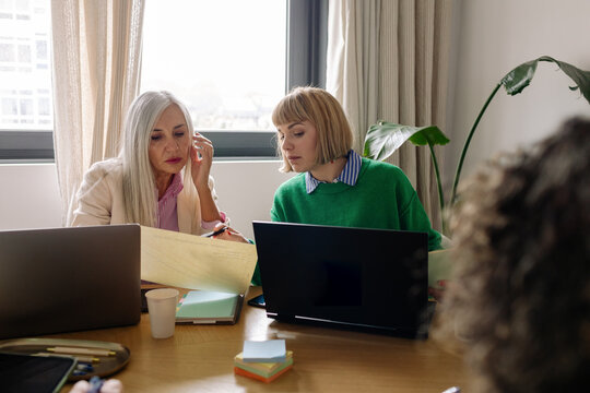 Women Working Together in an Office Meeting During the Daytime