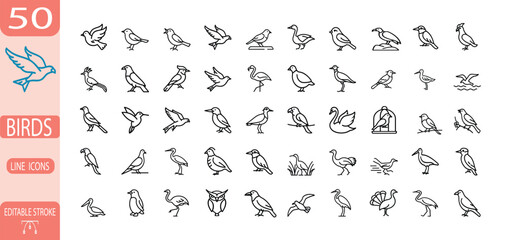 Fototapeta premium Bird line icon set with eagle, parrot, penguin, owl, swan, flamingo, duck, peacock, sparrow, pigeon, woodpecker, chicken, crane, stork, ostrich, turkey more vector illustration editable stroke.