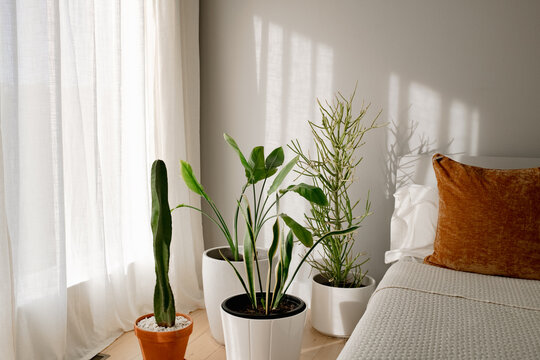 Modern House in the Hillcountry