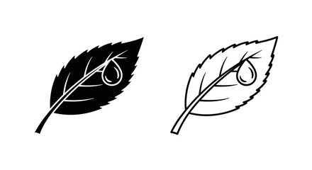 Two leaves with acorns Vector © Sultan