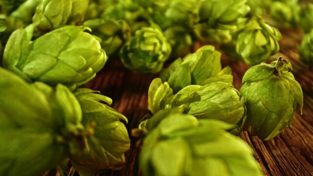 Slow motion of fresh green hops cones falling onto a wooden surface. Ideal for beer, brewing, or agricultural themes. Filmed on high speed cinema camera.