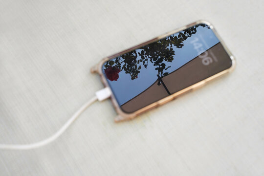 Smartphone charging and reflecting nearby plants