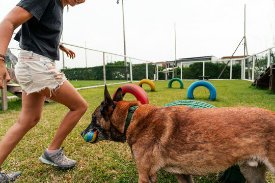 Dog and Owner Enjoy Playful Outdoor Training