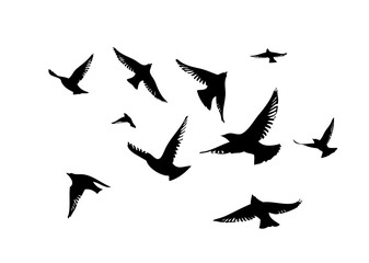 Obraz premium Flying birds silhouette flock. hand drawing. Not AI. Vector illustration.
