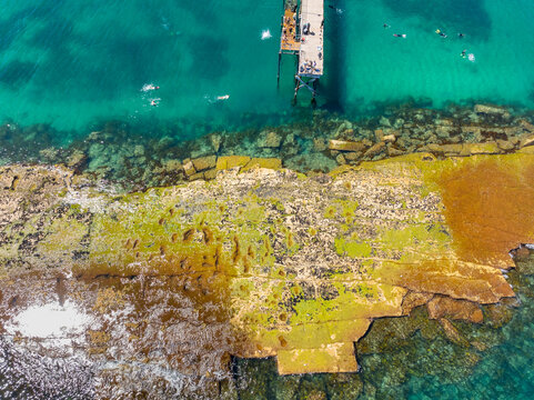 People swimming around the end of a coastal jetty and rocky reef