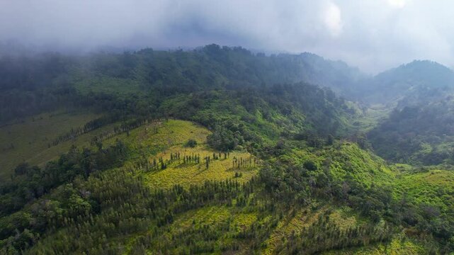 Aerial drone footage of the green forest in the north side of Bromo volcano caldera park, Java island, Indonesia, with mountains behind, at high altitude, in cloudy atmosphere, with wild intact nature