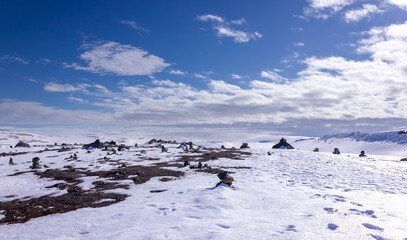 Naklejka premium A rock garden in the tundra on the road to Teriberka in the north 