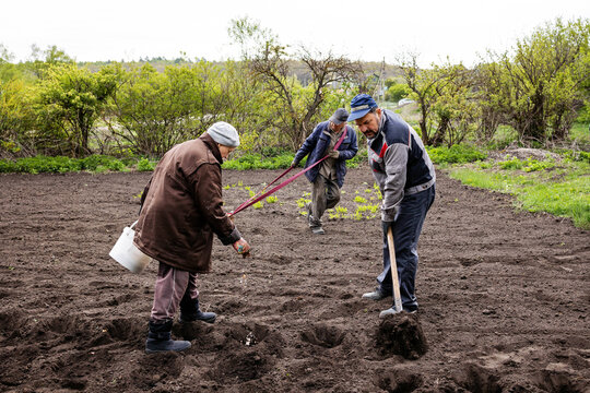 People plant agricultural crops.