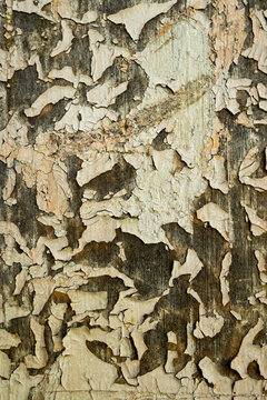 Textured background.