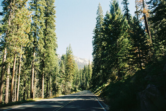 Scenic road in Yosemite