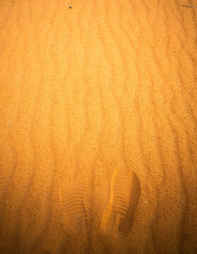 Footprints in the sand