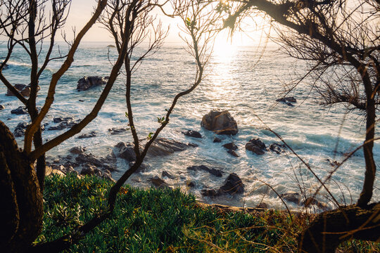 Sunset Over Ocean With Trees Framing the View Near the Shore