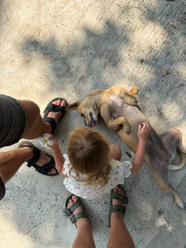 A Child and Street Dogs in Sri Lanka