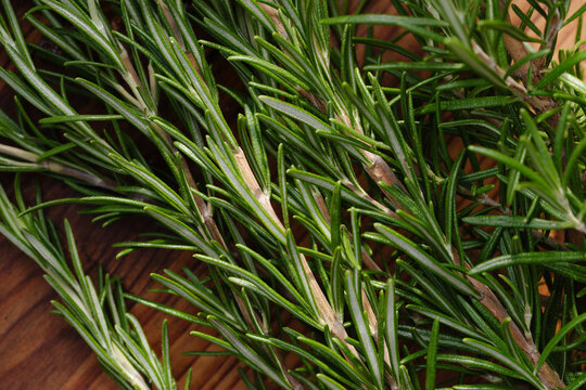 Fresh Rosemary Sprigs on Wooden Surface for Cooking