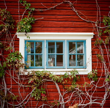 Blue window 
