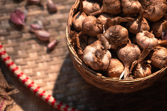 Hill Garlic