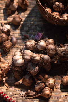 Hill Garlic