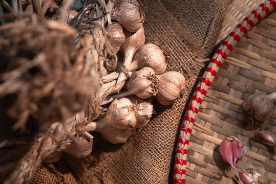 Hill Garlic