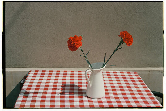 Red carnations on table with checkered tablecloth