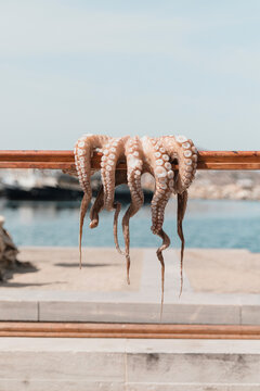 Sun-dried Octopus