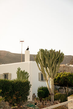 Paros, Greece