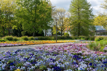 Obraz premium Colorful spring flower beds in city park Germany