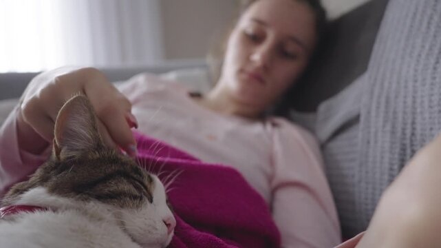 Woman caresses her aegean cat while watching TV on the sofa